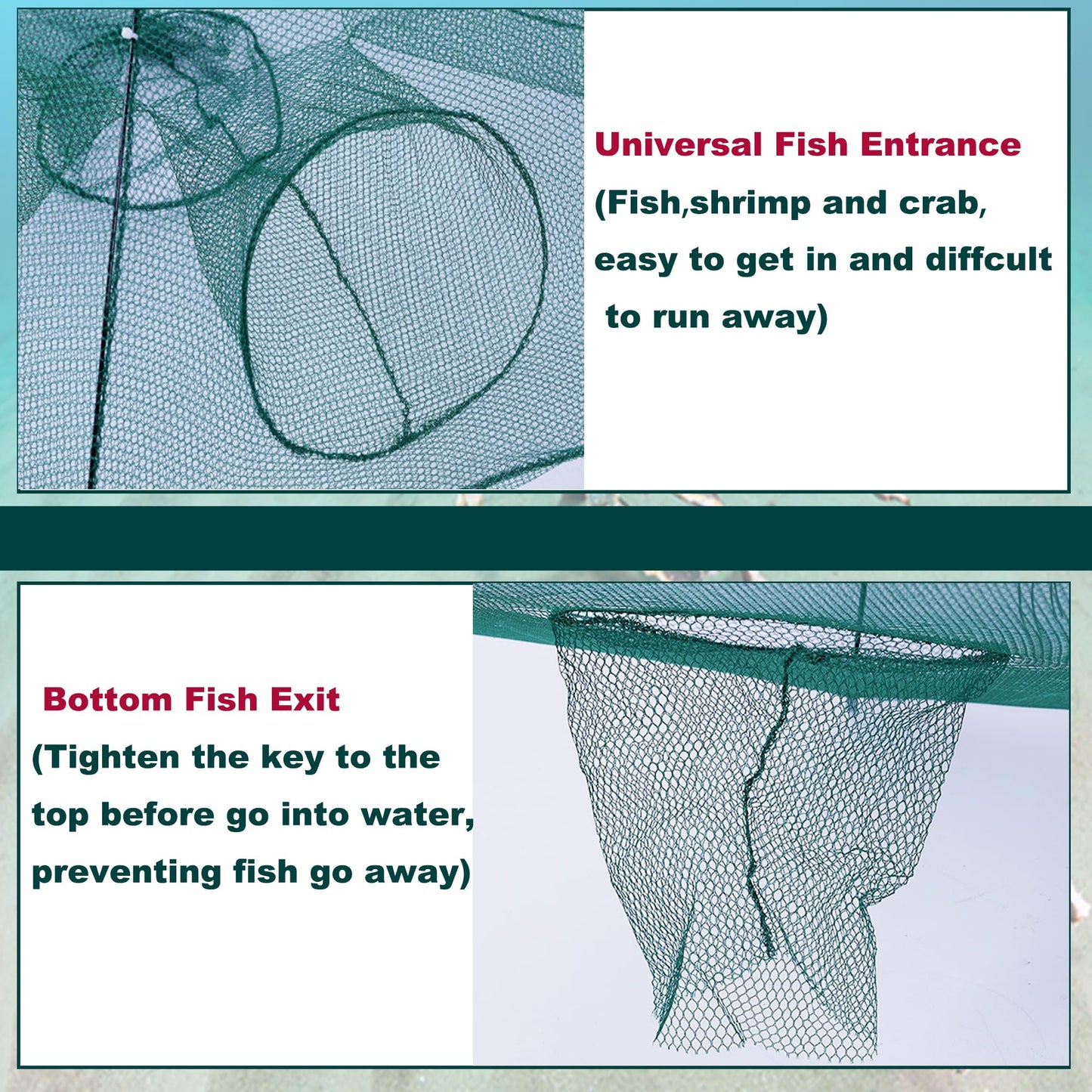 Folded Fishing Bait Trap