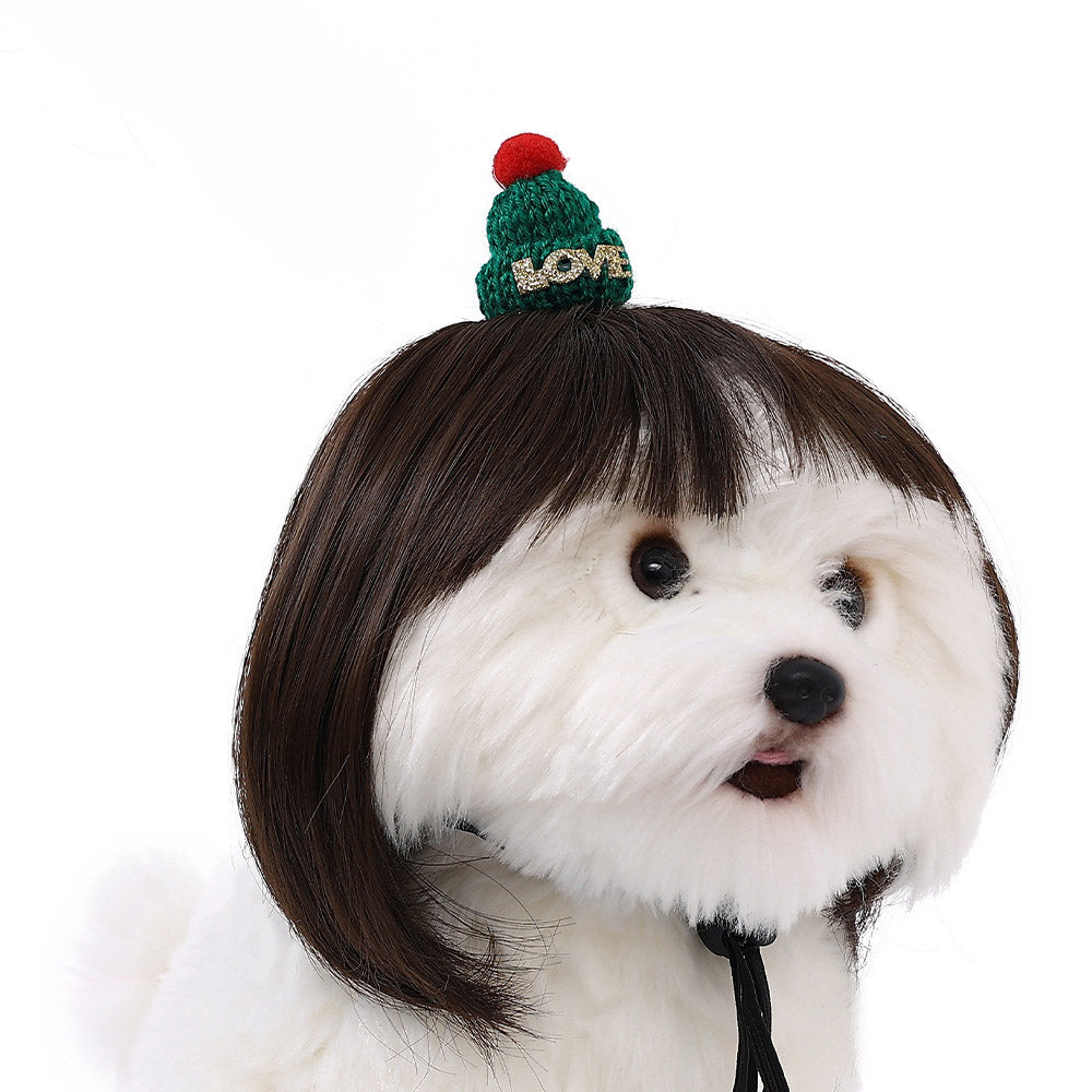 Hot Sale Pet Wigs