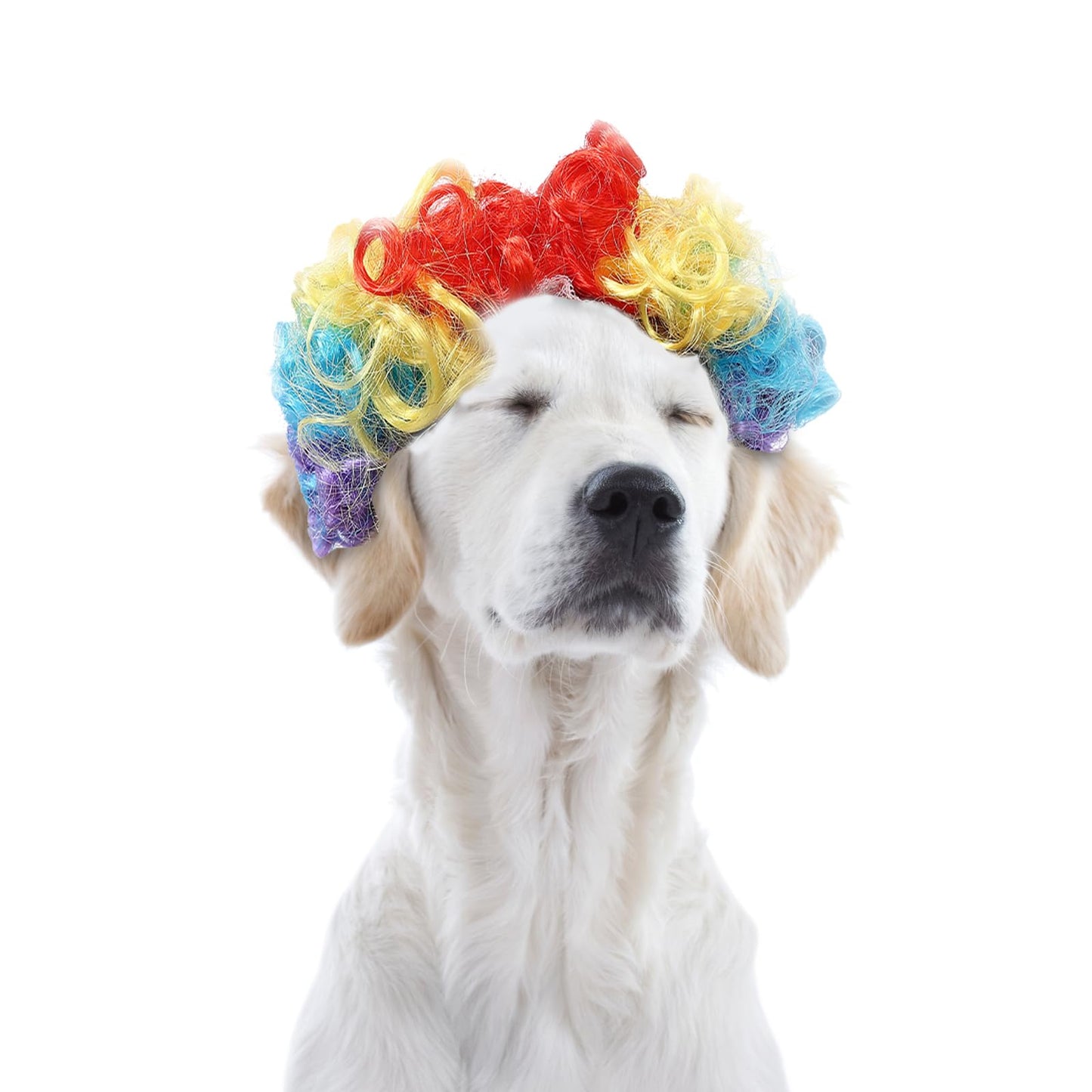 Hot Sale Pet Wigs