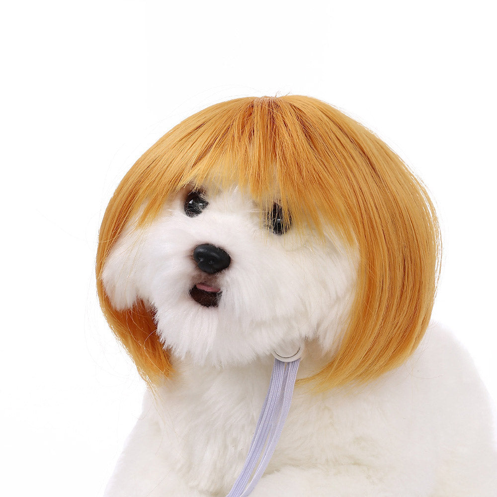 Hot Sale Pet Wigs