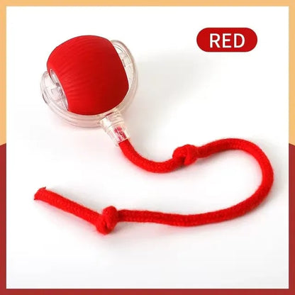 🔥Hot Sale🔥Interactive Rolling Ball