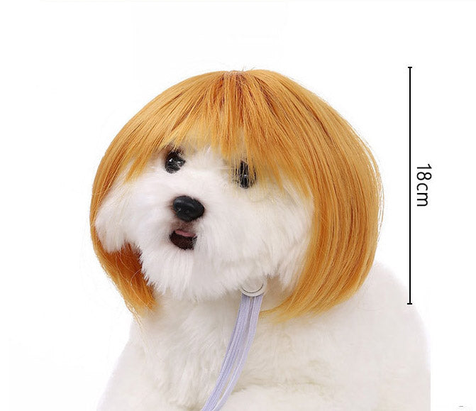 Hot Sale Pet Wigs