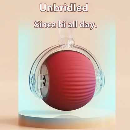 🔥Hot Sale🔥Interactive Rolling Ball