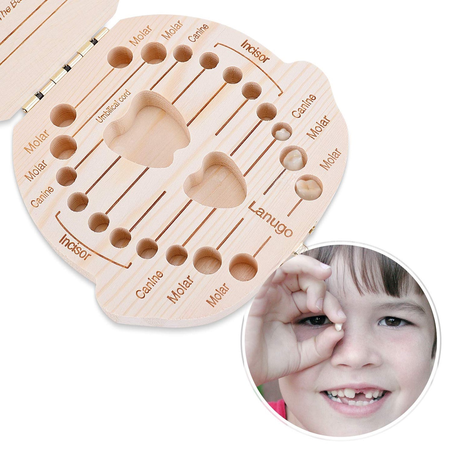 Baby Tooth Box