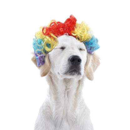 Hot Sale Pet Wigs