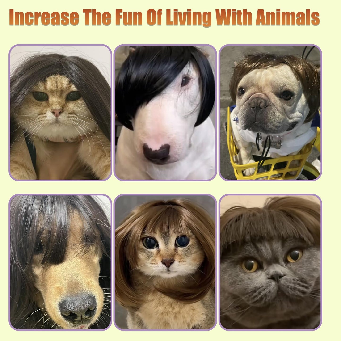 Hot Sale Pet Wigs