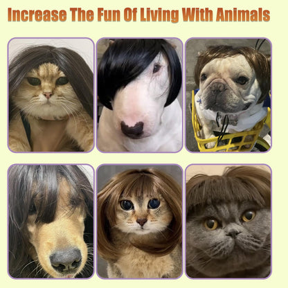 Hot Sale Pet Wigs