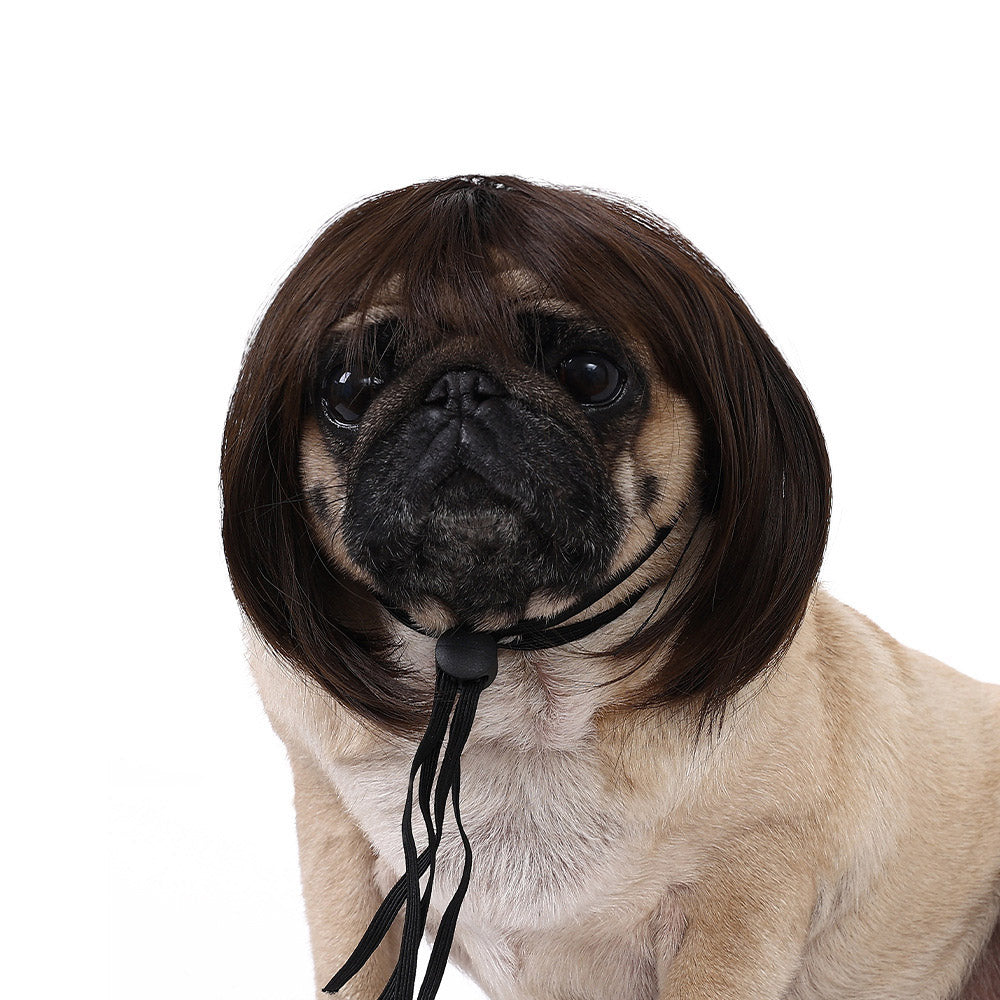 Hot Sale Pet Wigs