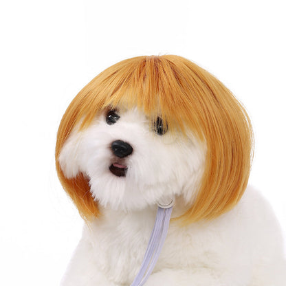 Hot Sale Pet Wigs