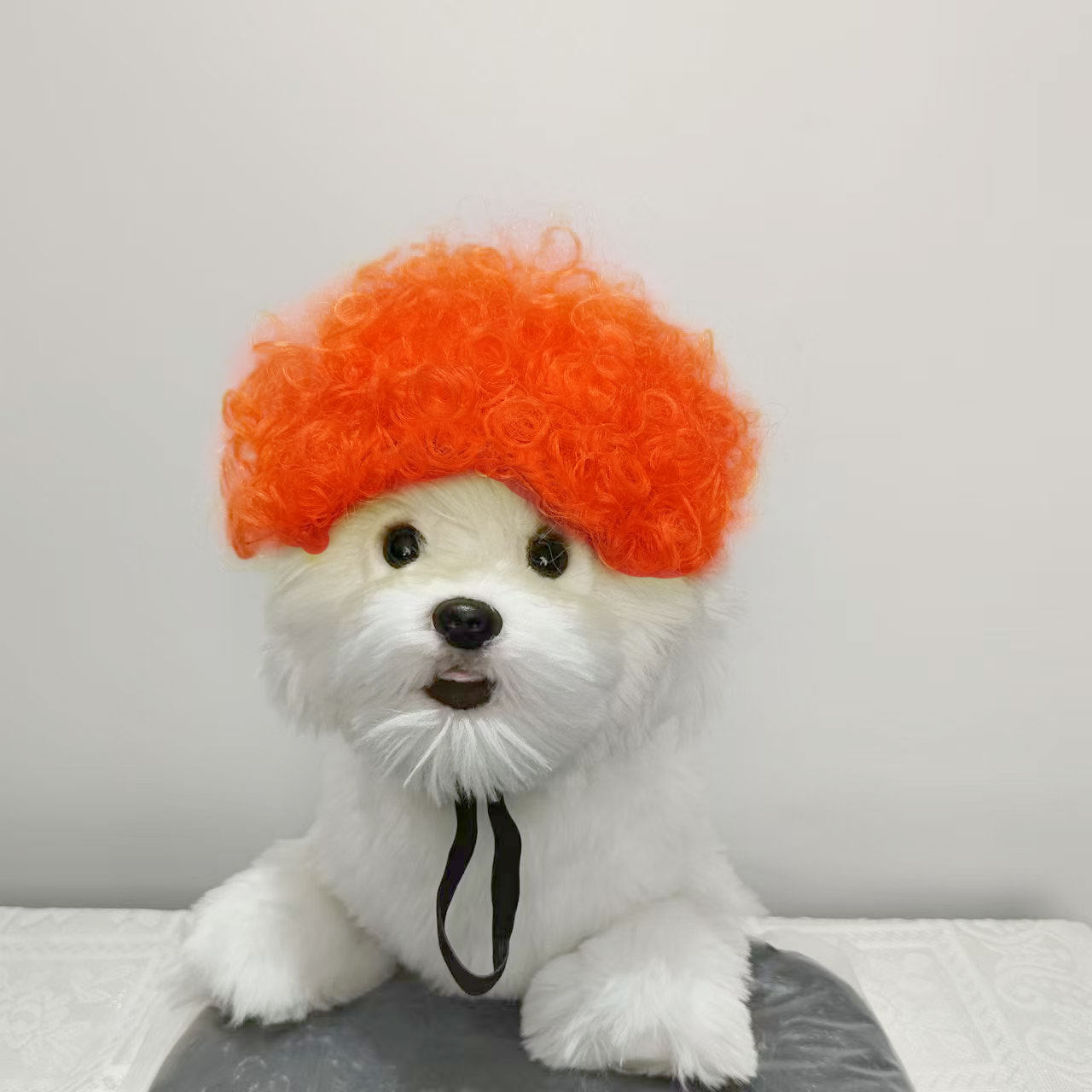 Hot Sale Pet Wigs