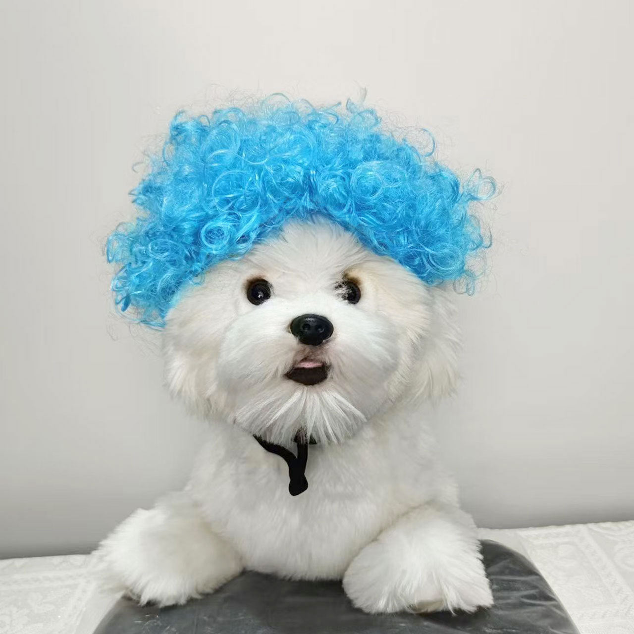 Hot Sale Pet Wigs