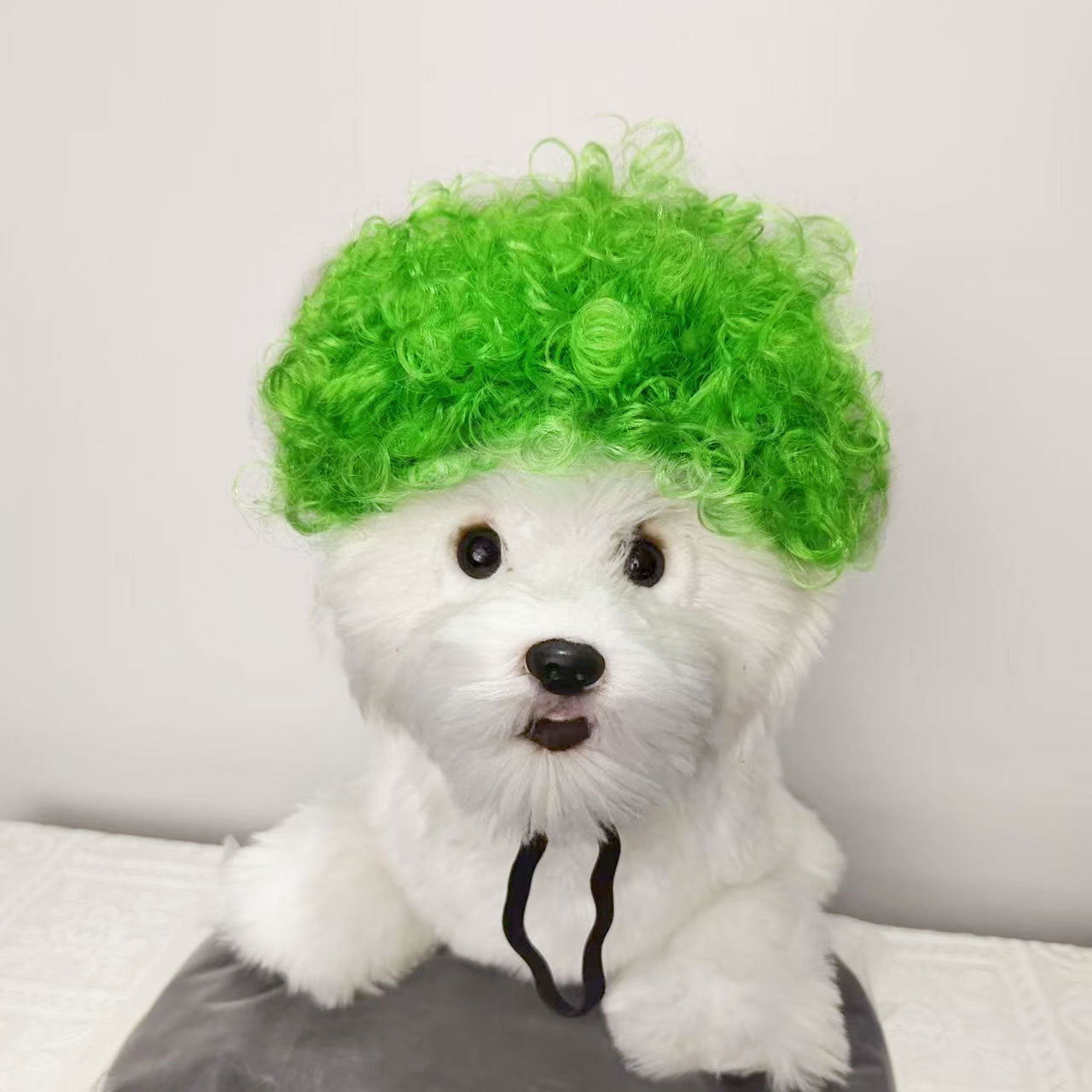 Hot Sale Pet Wigs